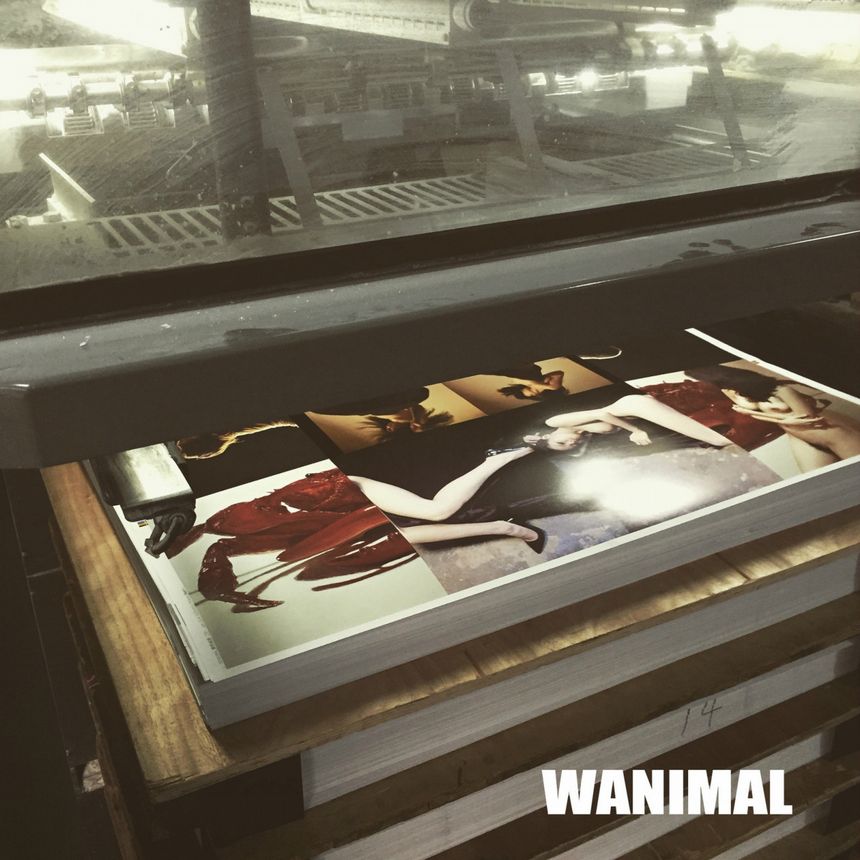 WANIMAL (ʮһ) ͼ ڵ [104P] P.5