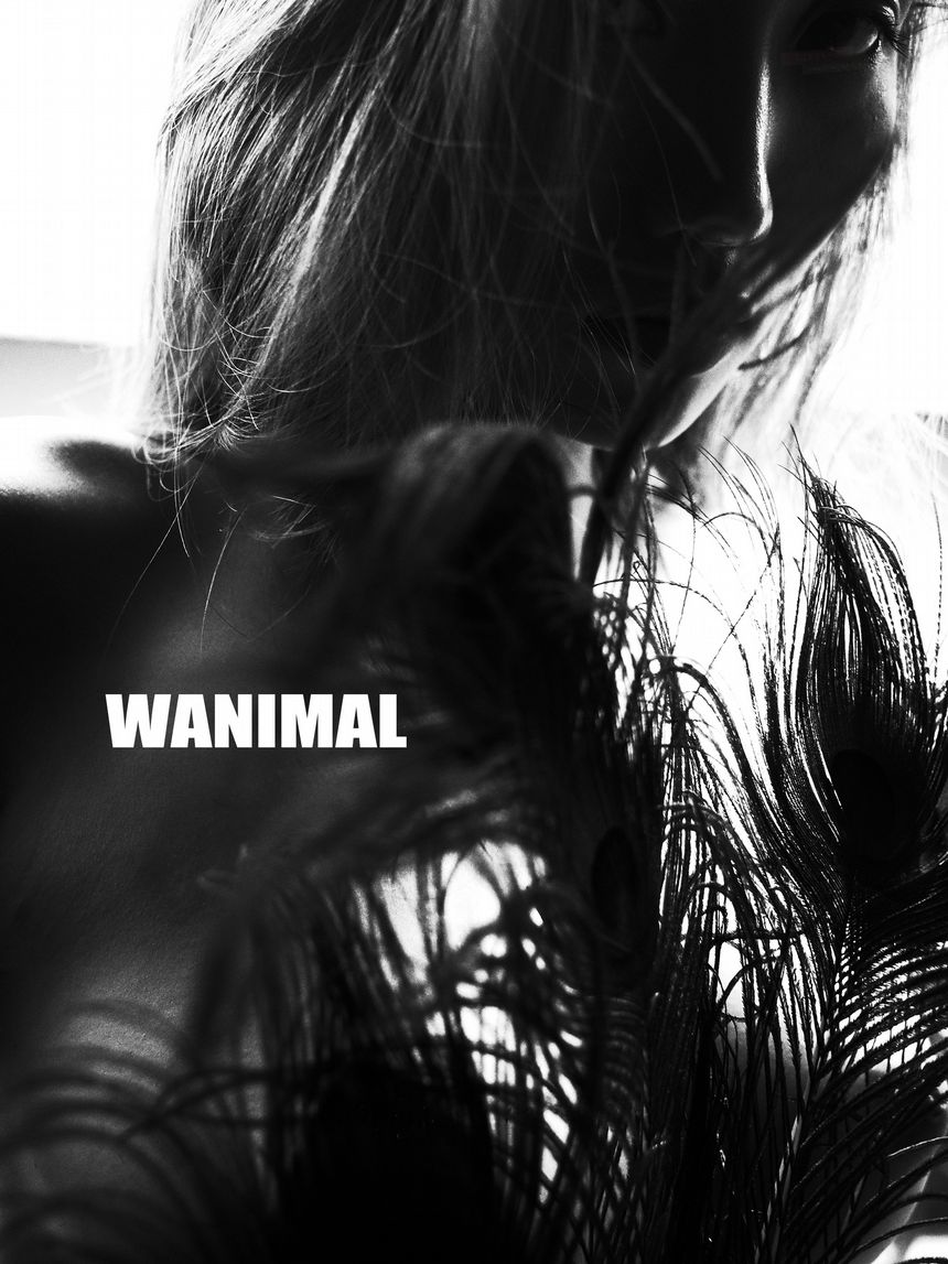 ʥ ͼ[160P] WANIMALٷƷ 5¹ P.5