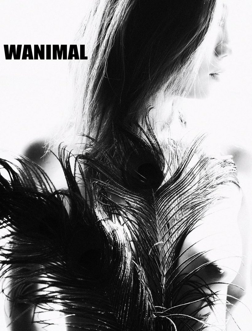 ͼ[160P] 5¹ WANIMALٷƷ ʥ P.4